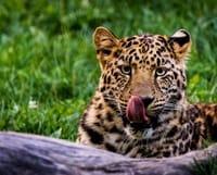 parks-and-walks
