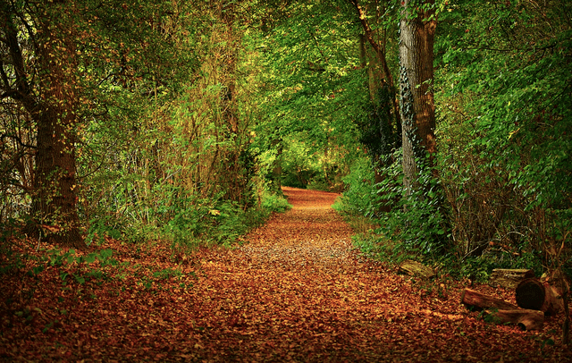 Worcester Woods County Park