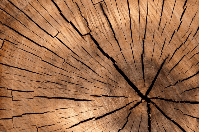 The Greyfriars House & Garden